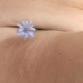 Cellulite e naturopatia un binomio vincente!