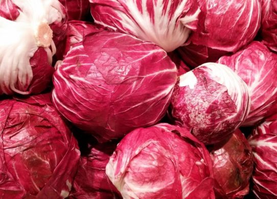 Depurare il fegato con il radicchio rosso