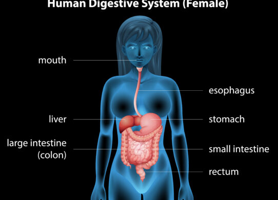 Diverticoli e malattia diverticolare