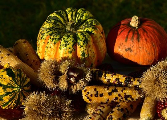 E’ arrivato l’autunno con i suoi alimenti stagionali, ecco come inserirli nella nostra alimentazione