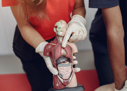 Gastroscopia Transnasale indicazioni e casi in cui è possibile eseguirla