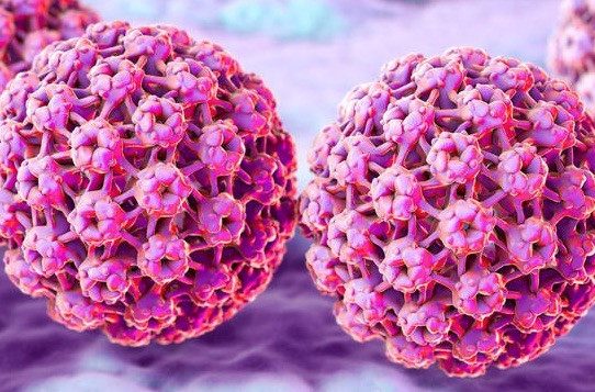 HPV, Papilloma Virus: prevenzione, diagnosi, terapie, vaccino