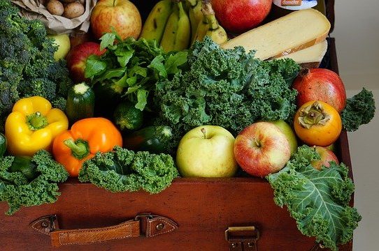 I 4 principi fondamentali della dietoterapia per l’iper-colesterolemia