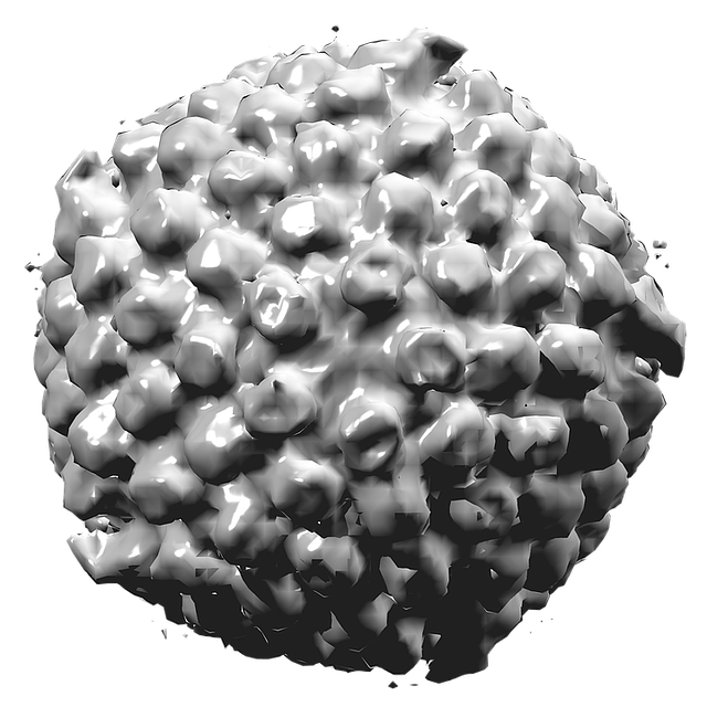 Il citomegalovirus in gravidanza