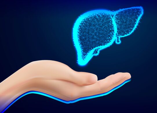 Il fegato: un “contenitore” di stati d’animo