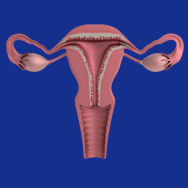 Infertilità ed endometriosi