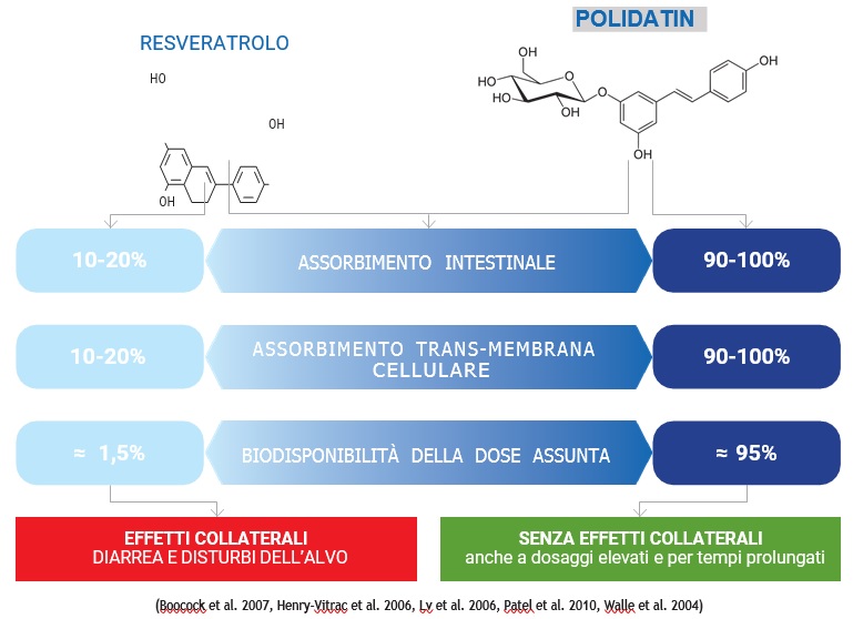 LE 8 NUOVE EVIDENZE SULLA POLIDATINA