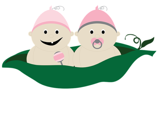 La gravidanza gemellare: se i bebè sono due o più di due