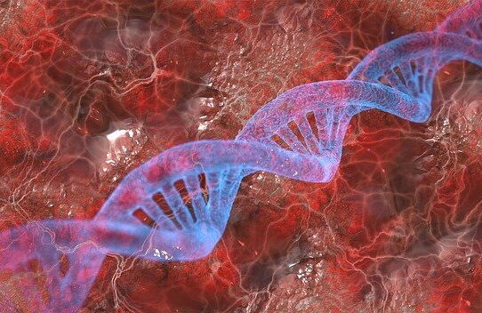 NIPT test – DNA fetale lo screening prenatale non invasivo