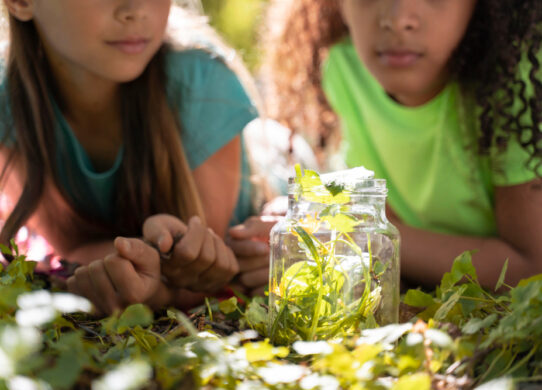 Naturopatia infantile un approccio olistico al benessere infantile