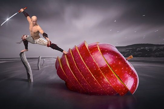 Nutrizione nello sport la dieta degli atleti di arti marziali