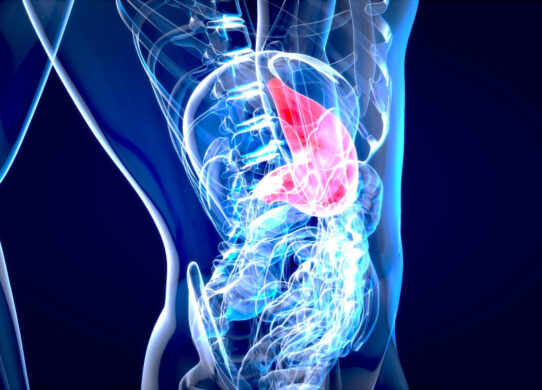 Palloncino intragastrico funzionamento benefici e considerazioni mediche