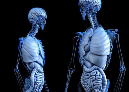 Prevenzione delle Malattie dell'Apparato Gastrointestinale Un Passo Cruciale per la Salute