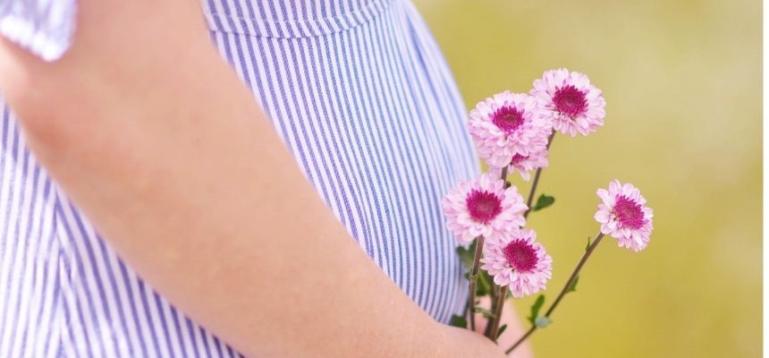 Secondo trimestre di gravidanza la simbiosi