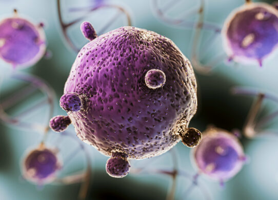 Vaccino per Papilloma Virus Una Grande Opportunità per la Prevenzione Oncologica