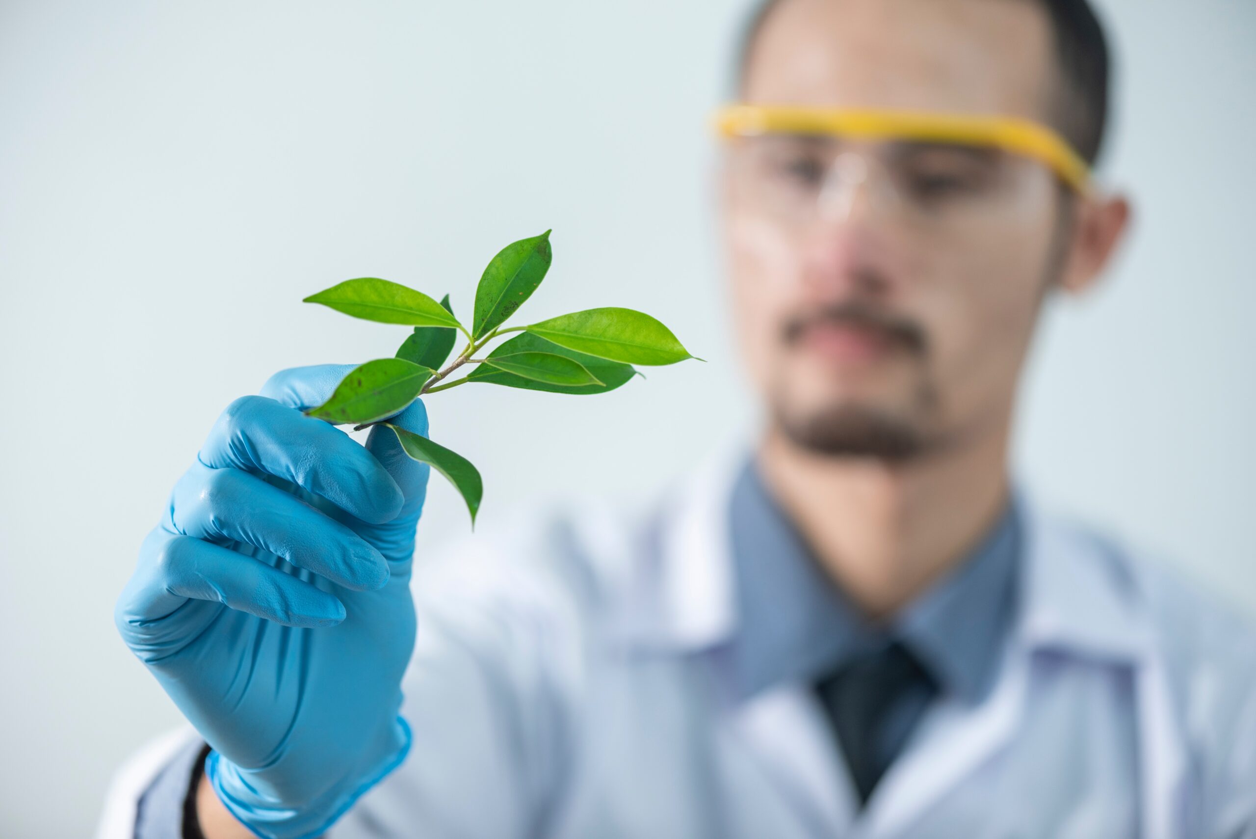 Andropausa e testosterone: la terapia naturale