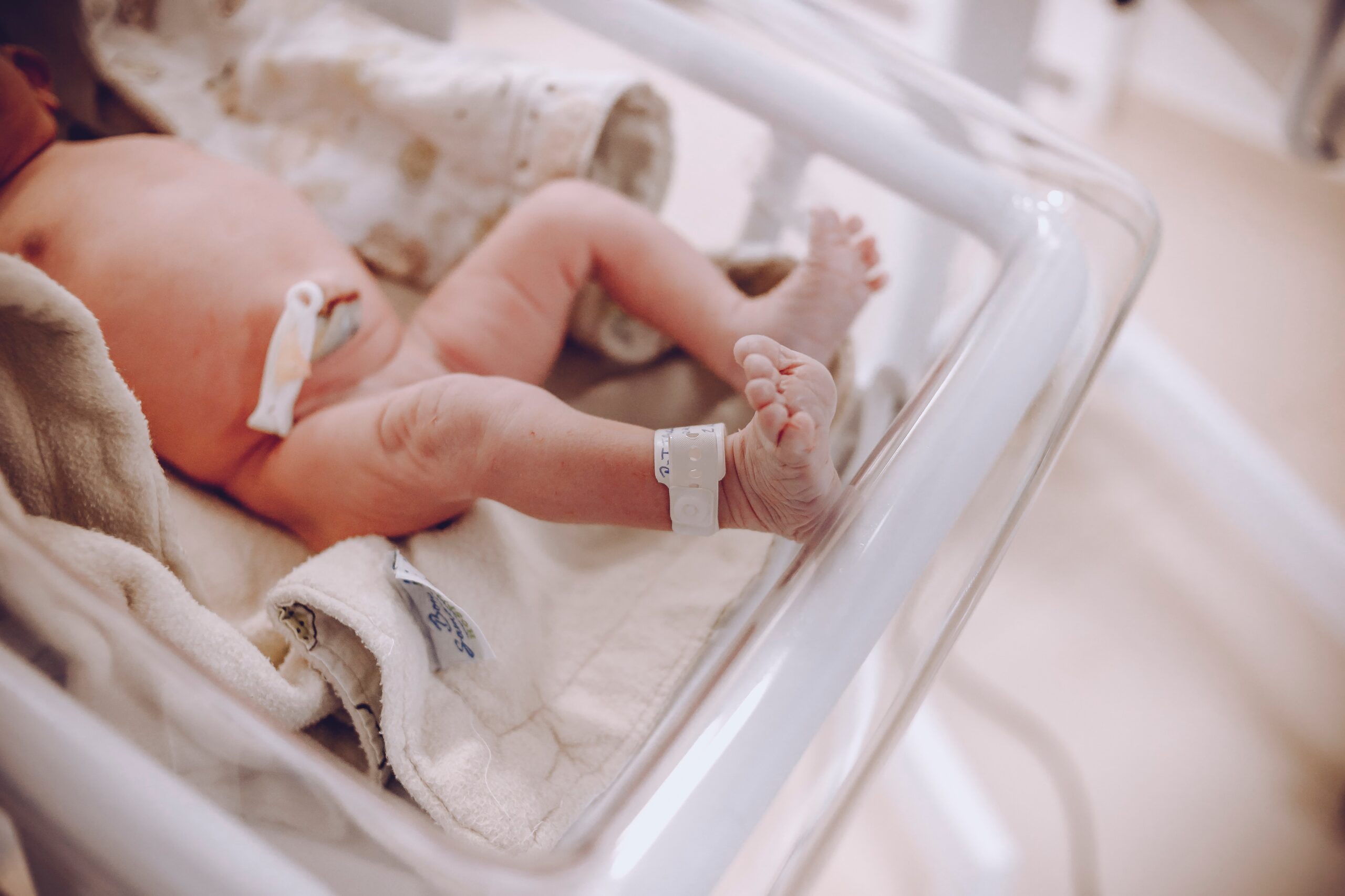 Anomalia cardiaca congenita: bimbo prematuro operato con catetere transcutaneo