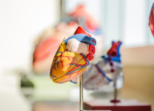 Tecnologie innovative nella cardiologia interventistica