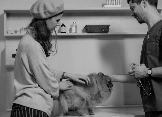 veterinario e padrone