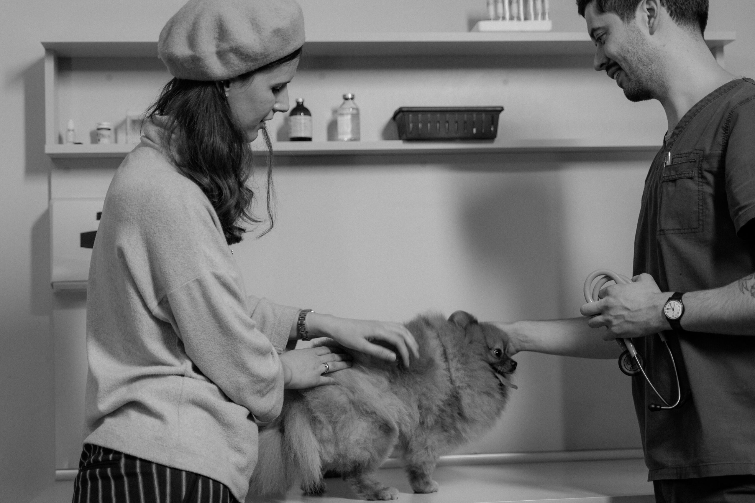 Omeopatia veterinaria: il cliente ha sempre ragione